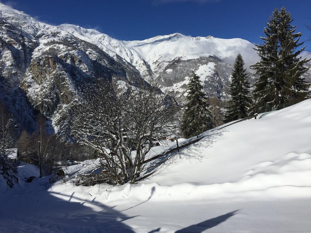 Chalet Du Chef Grächen Exteriör bild