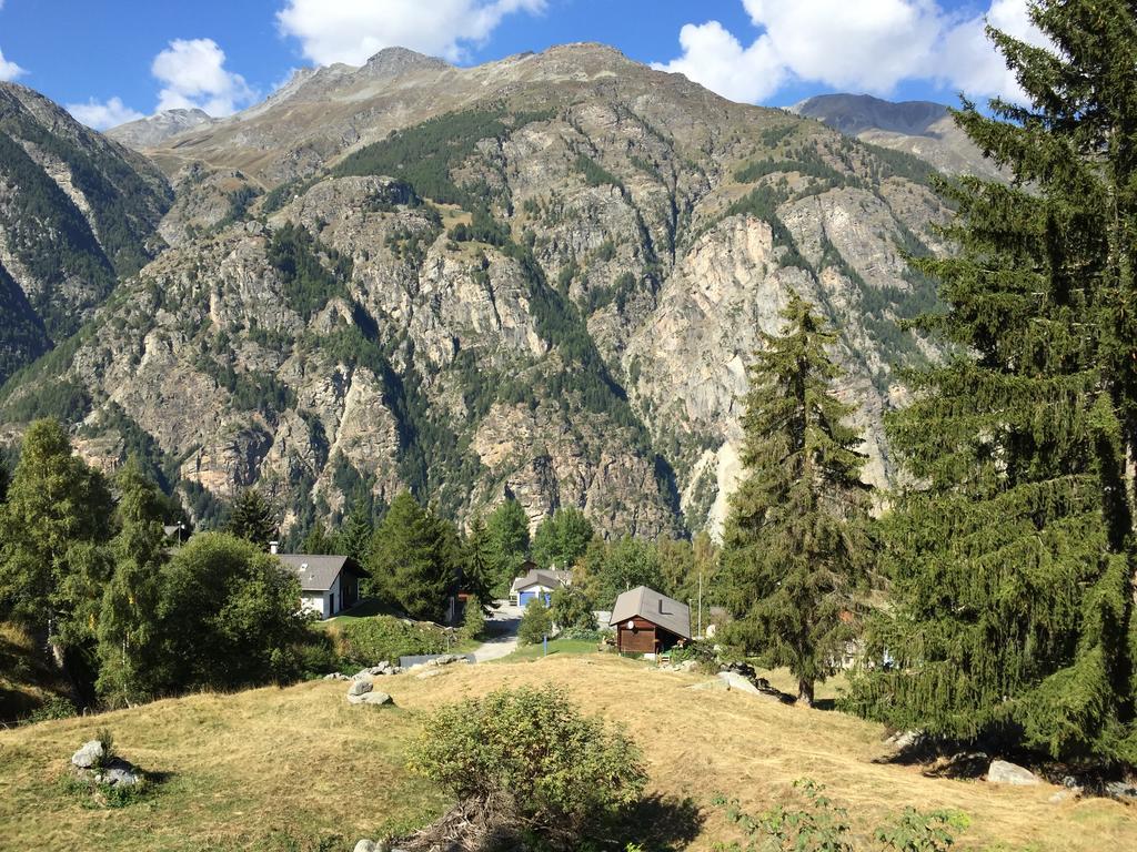 Chalet Du Chef Grächen Exteriör bild